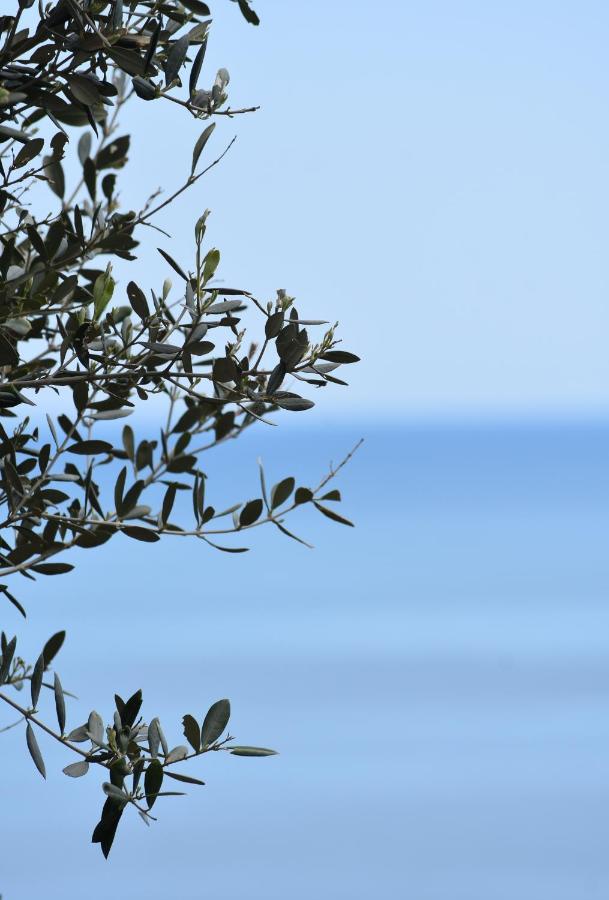 Thalatta Beyond Guesthouse Agios Ioannis Agios Ioannis  Екстериор снимка